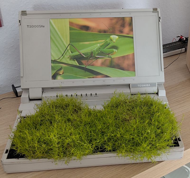 T2000SXe Blumentopf